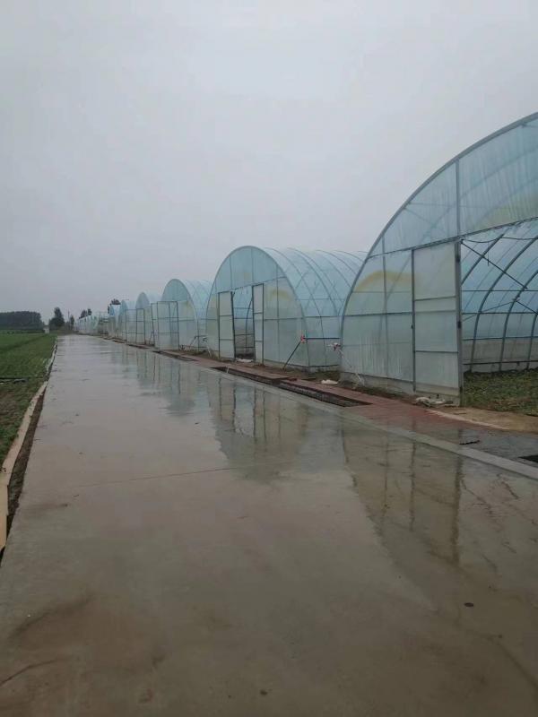 溫室大棚